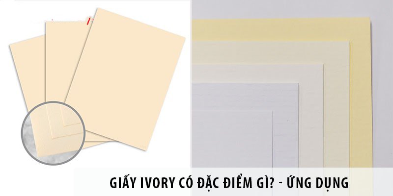 giấy Ivory là gì